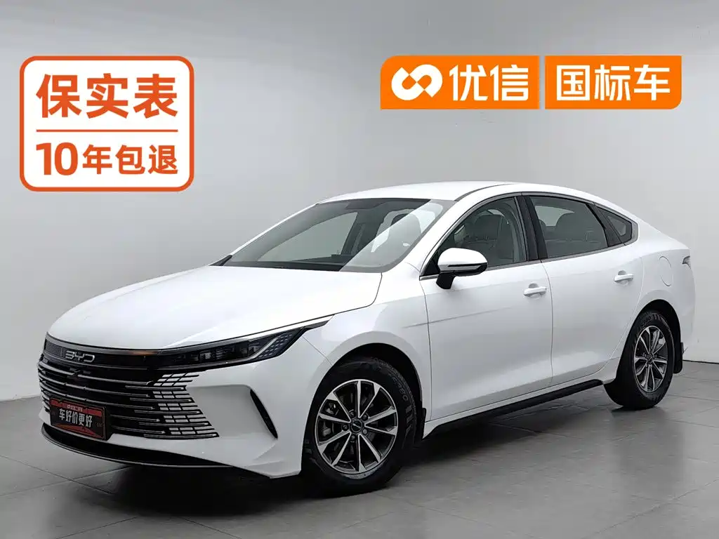 BYD Destroyer 05 2024