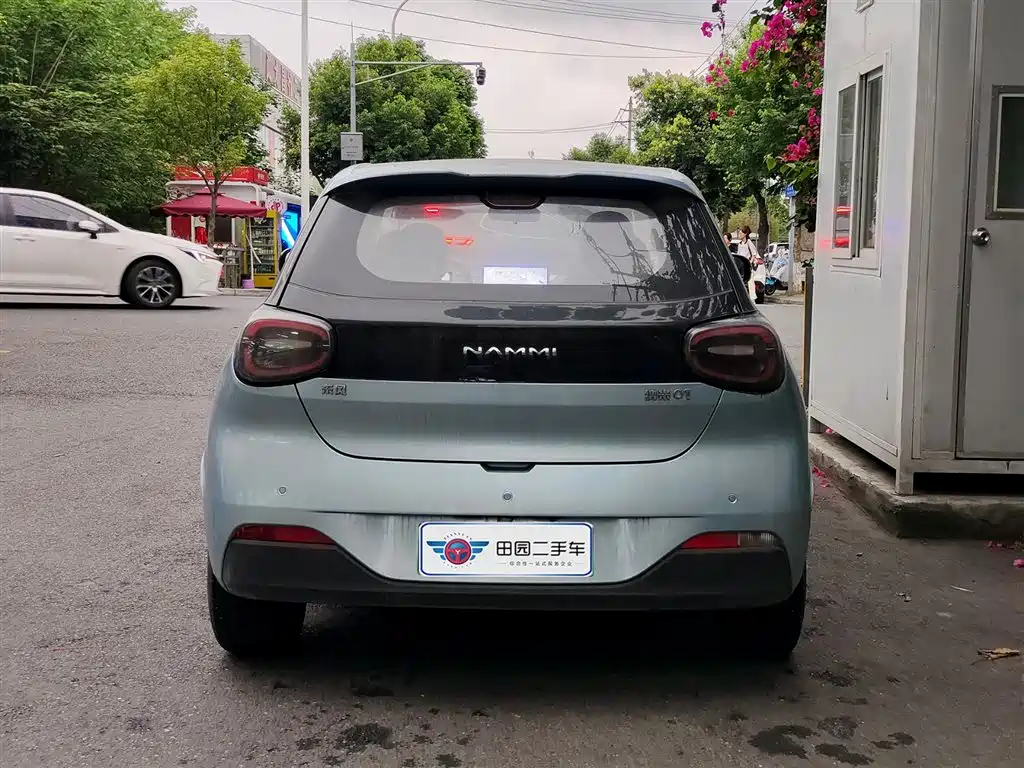 Dongfeng Yipai Nano 01 2024 2024 330 Air