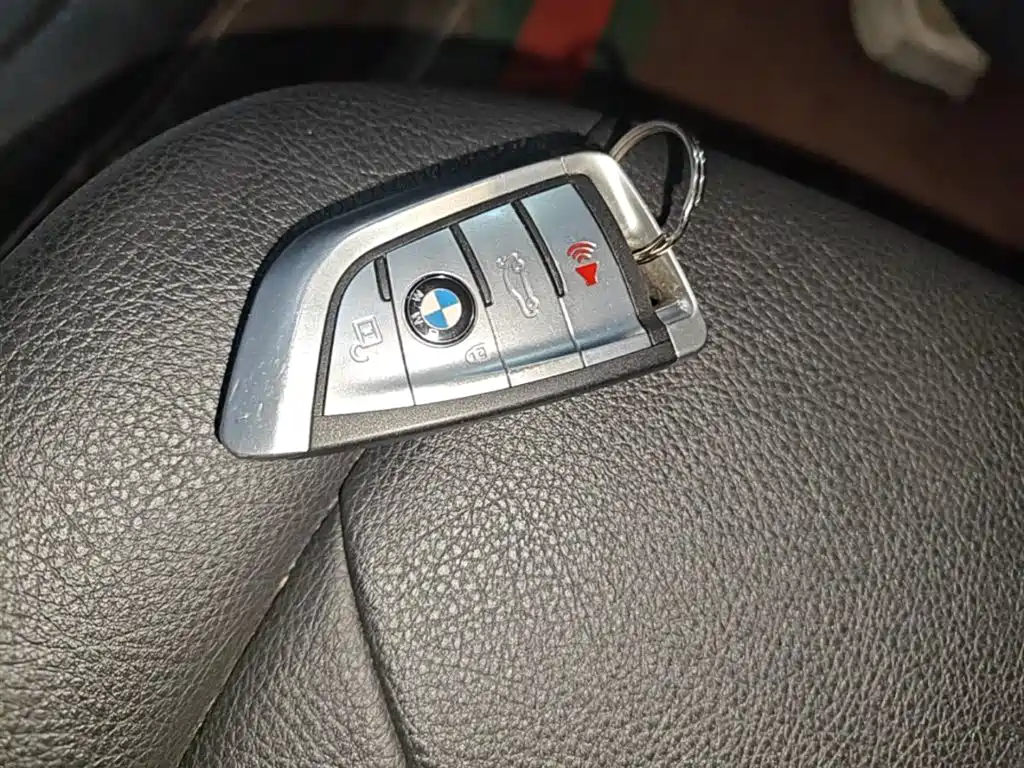 BMW 3 Series 2017 320Li M Sport фото 9