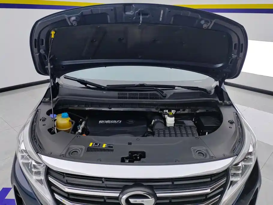 GAC Trumpchi M8, миниатюра 10