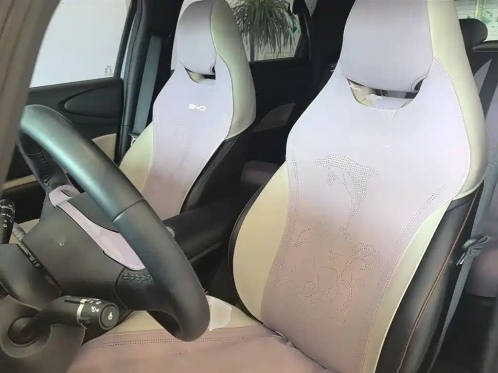 BYD Dolphin 2023 420km Fashion Edition фото 15