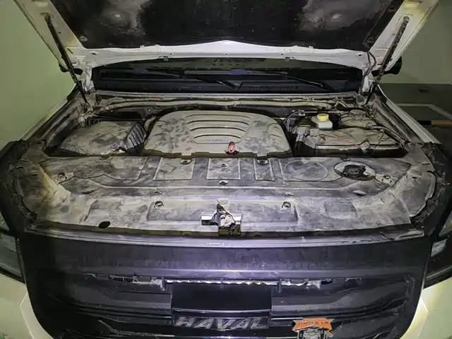 Haval H9 2020 2.0T Gasoline 4WD Luxury 7-Seater — фото 3