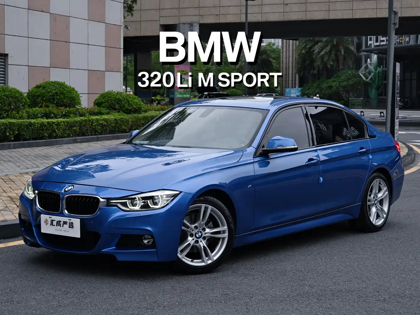 BMW 3 Series 2019 320Li M Sport Package