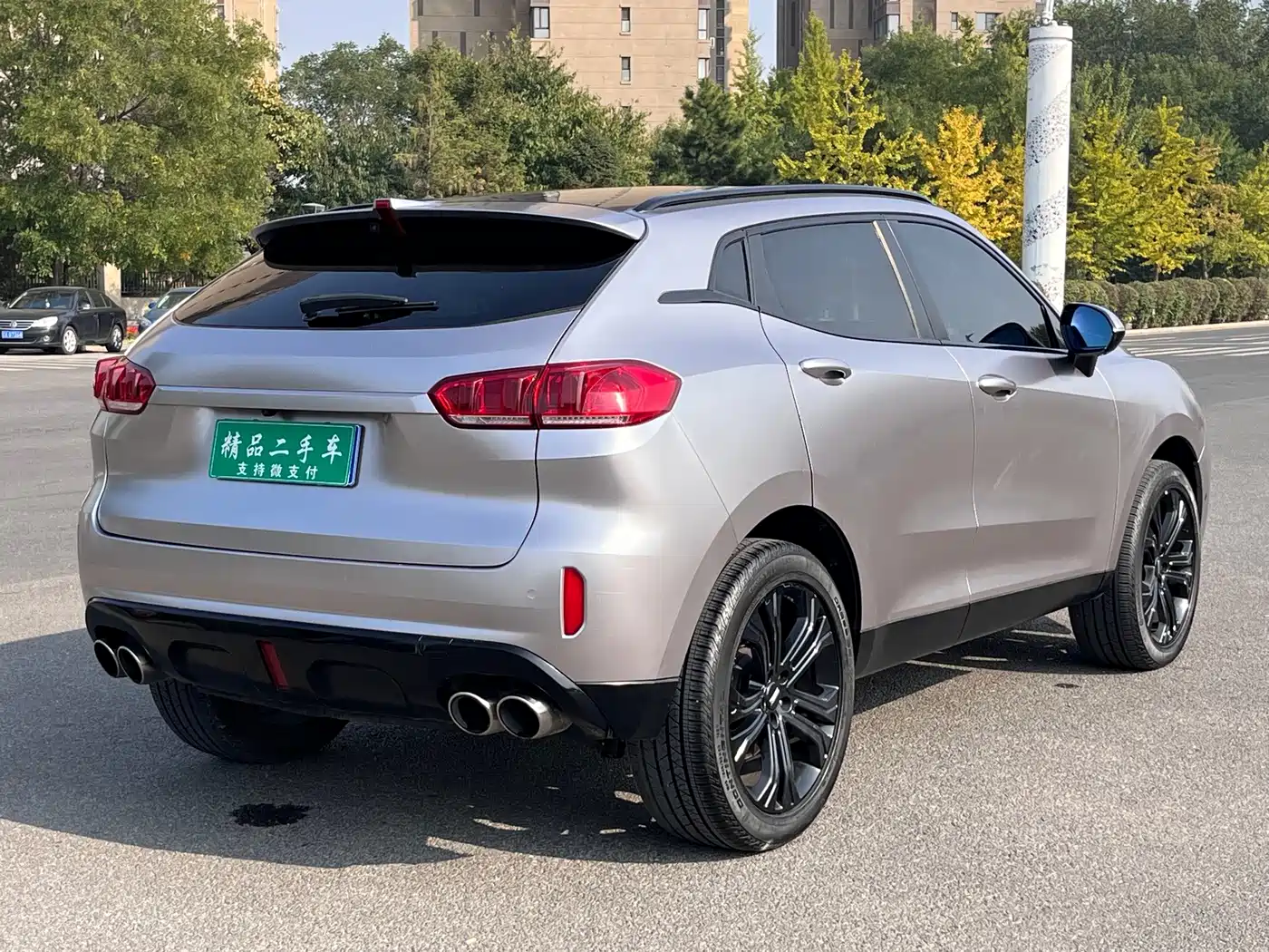 WEY VV5 2017 2017 2.0T Flagship Model