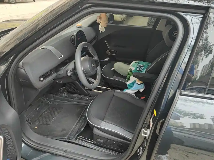 MINI Electric MINI ACEMAN 2024 2024 Model SE Artist