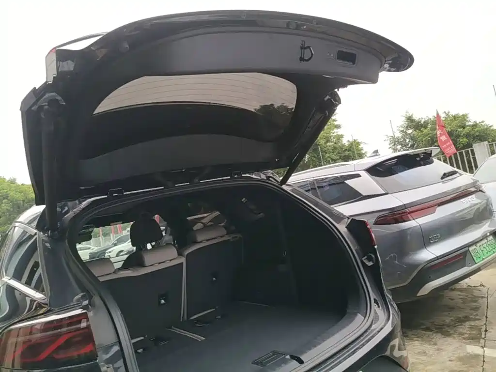 BYD Tang New Energy 2025 2025 Smart Driving Edition DM-i 115KM Flagship