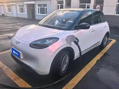 Wuling Bingo