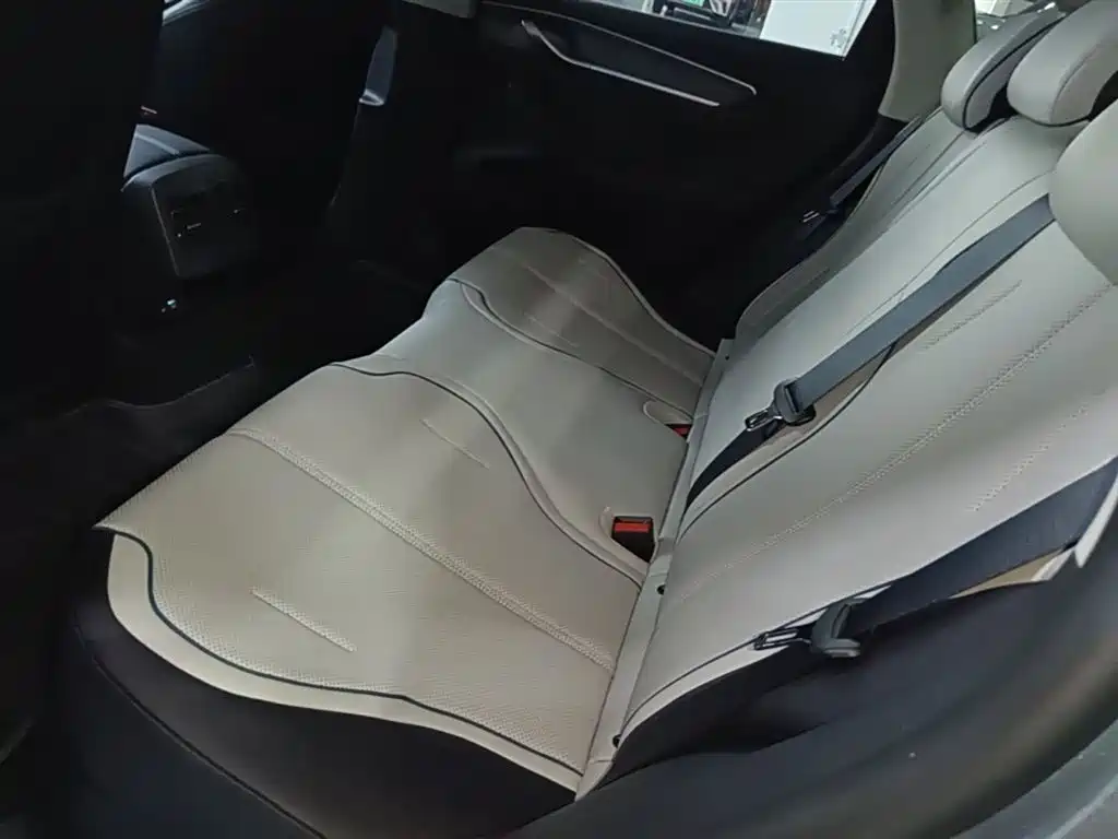 BYD Destroyer 05 2024 Glory Edition DM-i 55KM Luxury фото 17
