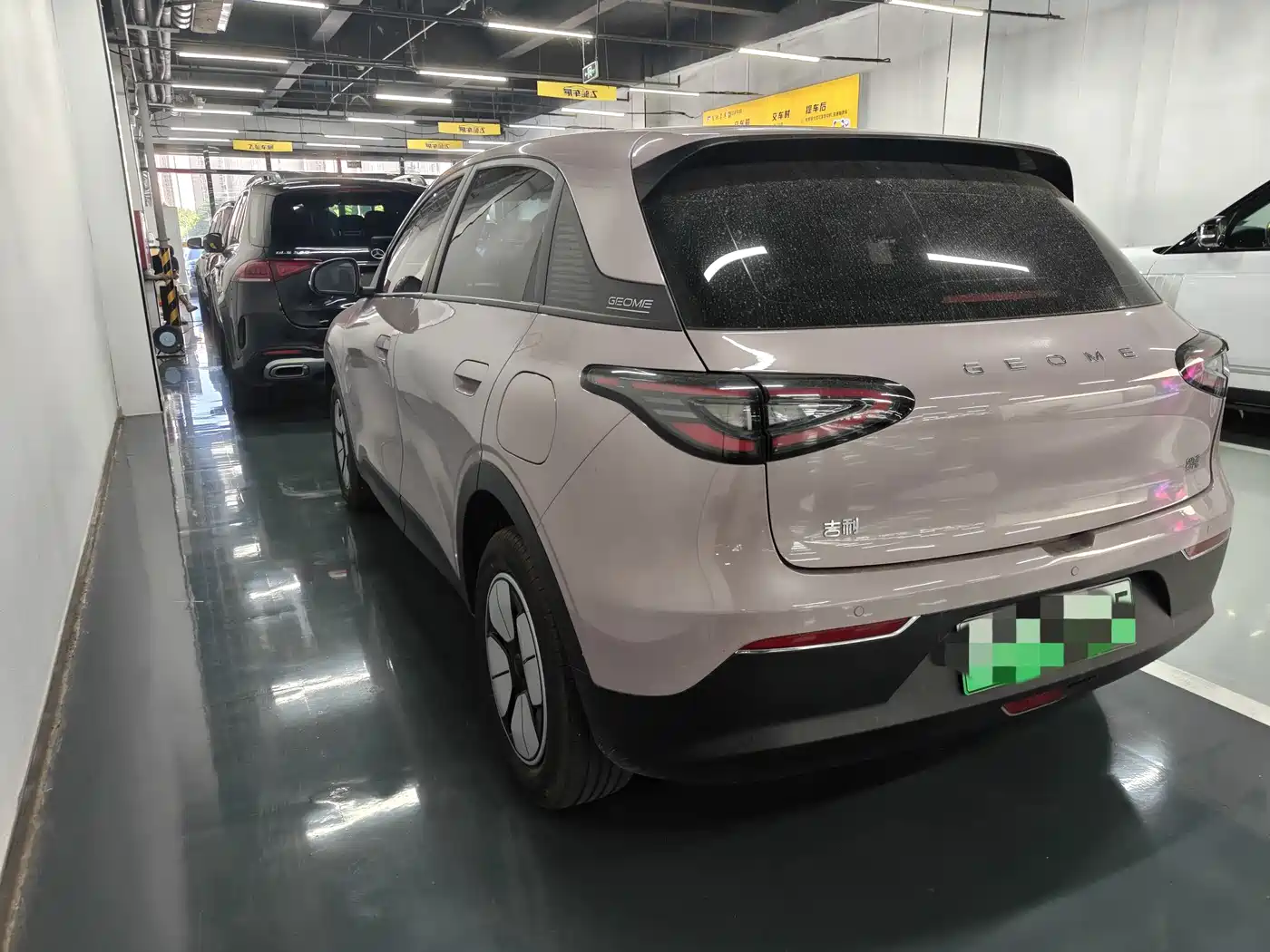 Geely Galaxy Starry Wish 2025 2025 310km Youth Edition