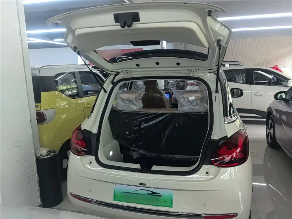 Wuling Motors Wuling Bingo 2026 2025 Model 333km Joy Edition