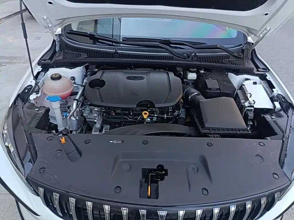 Фото 20 - Geely Binrui