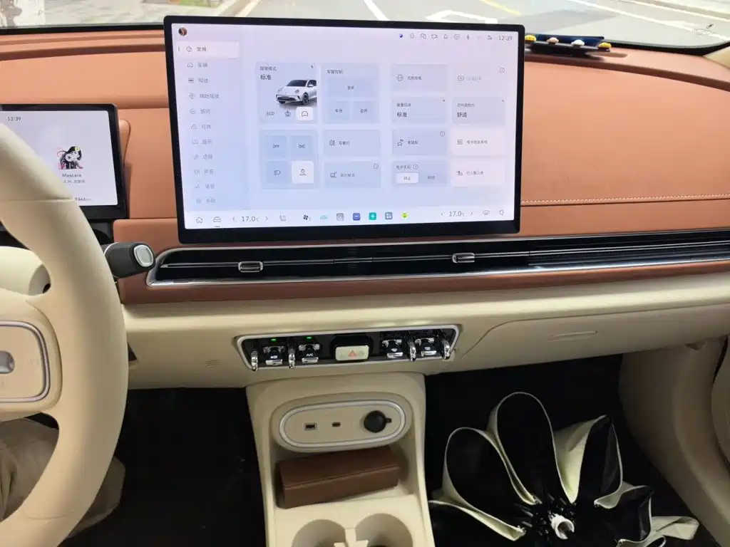 Ora Good Cat 2026 2025 Model 430km Luxury