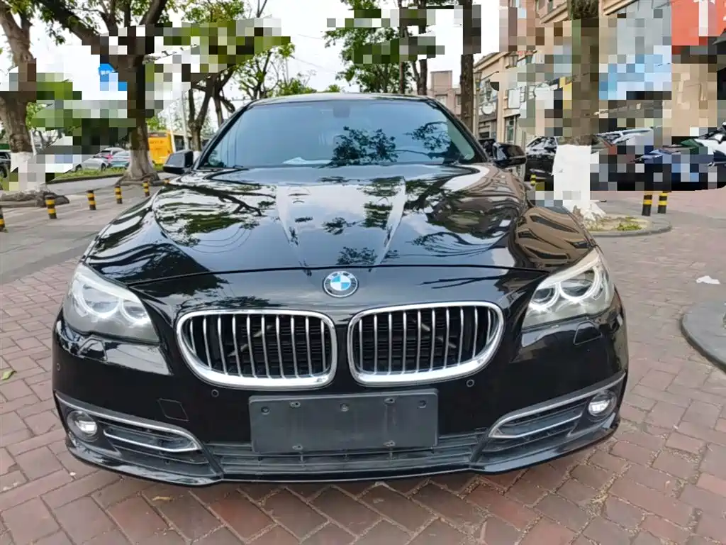 BMW 5 Series 2014 525Li Luxury Design Package фото 3