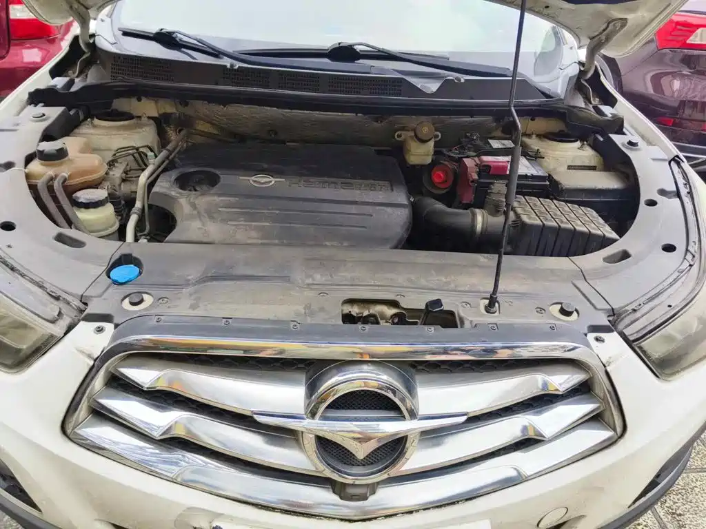 Photo 9 - Haima S5