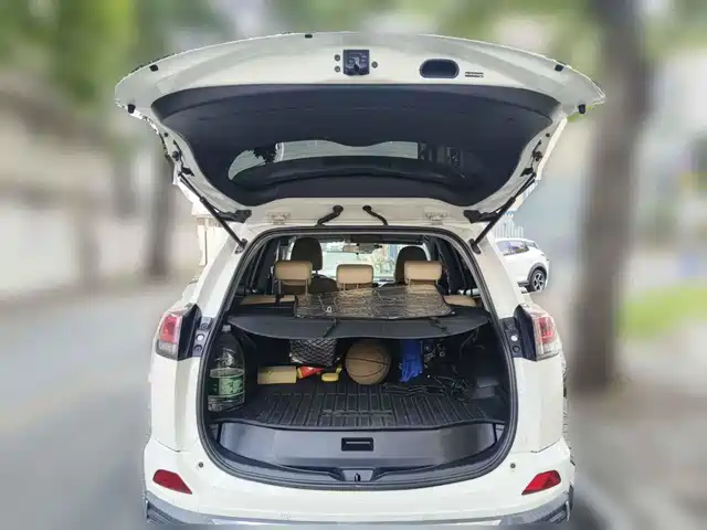 Toyota RAV4 Rongfang 2018 2.0L CVT 2WD Trend X Edition — фото 5