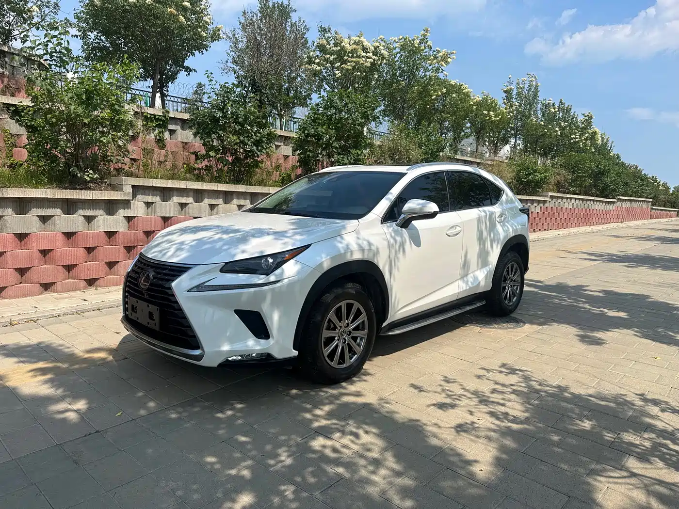 Lexus NX 2020 200 AWD F Sport China VI
