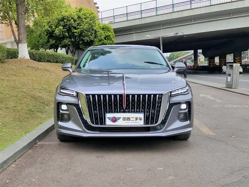 Hongqi H5 2023 2.0T Auto Smart Connect Flag Comfort фото 2