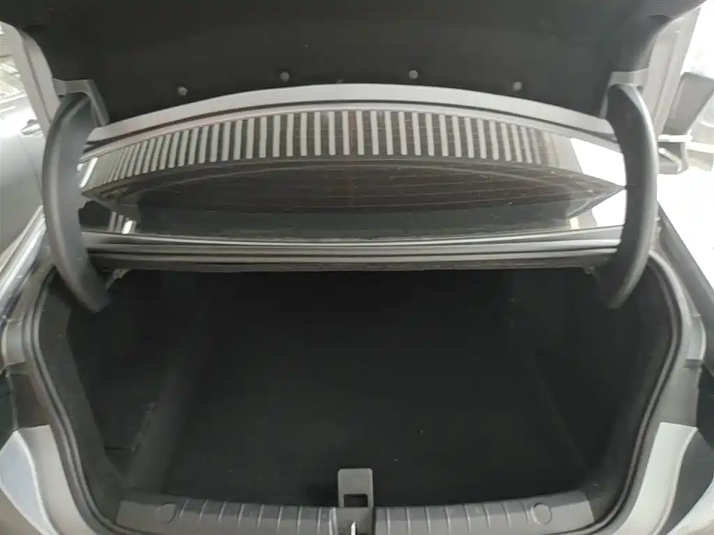BYD Destroyer 05 2024 Glory Edition DM-i 55KM Luxury фото 19