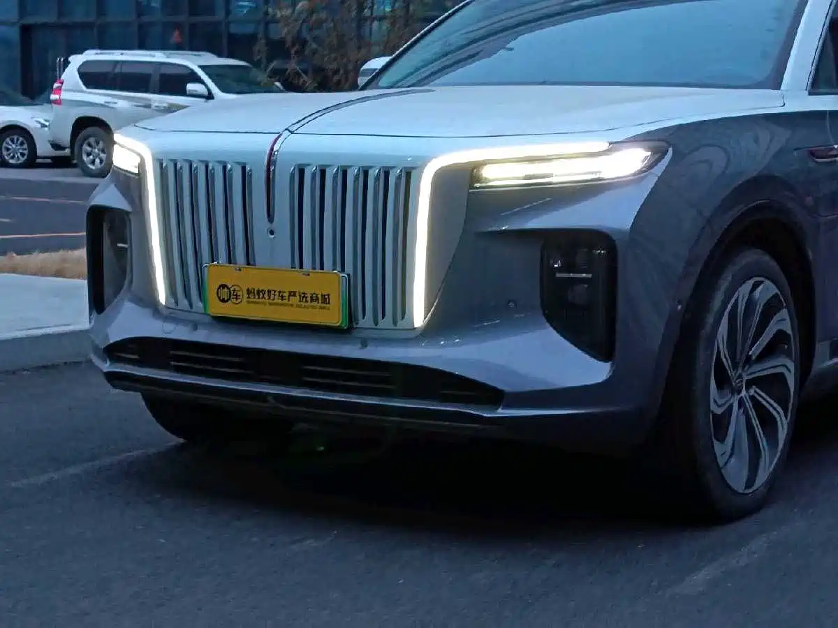 Hongqi E-HS9 2022 660km Qi Ling Edition (4-seater) фото 8