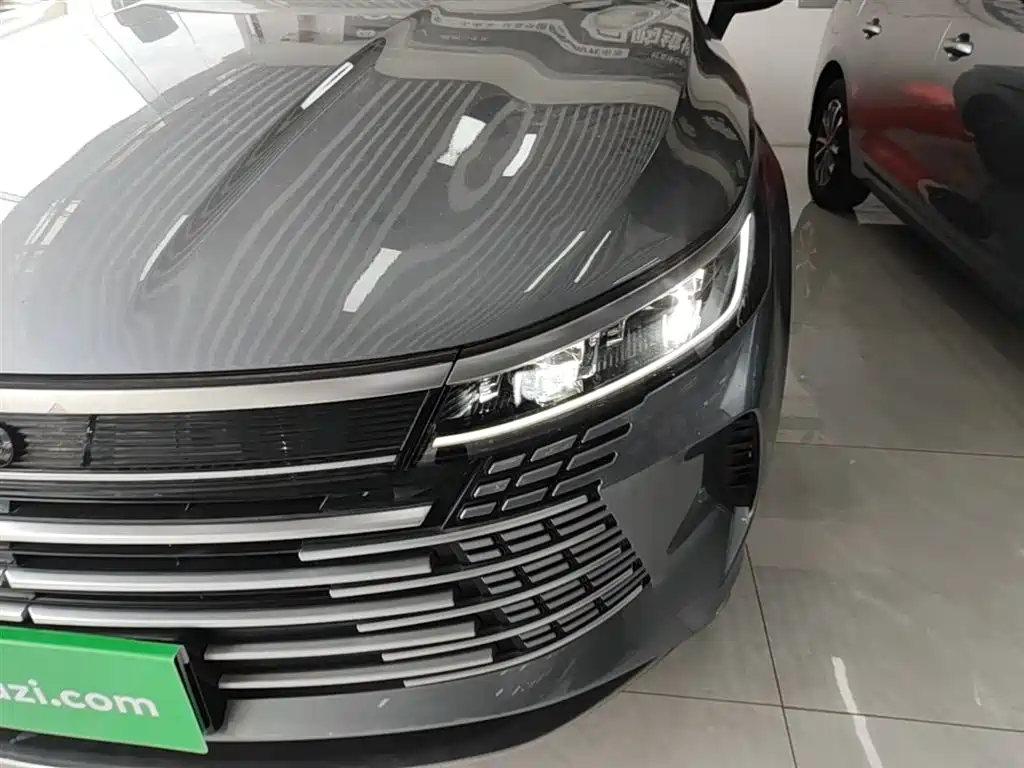 BYD Destroyer 05 2024 Glory Edition DM-i 55KM Luxury фото 24