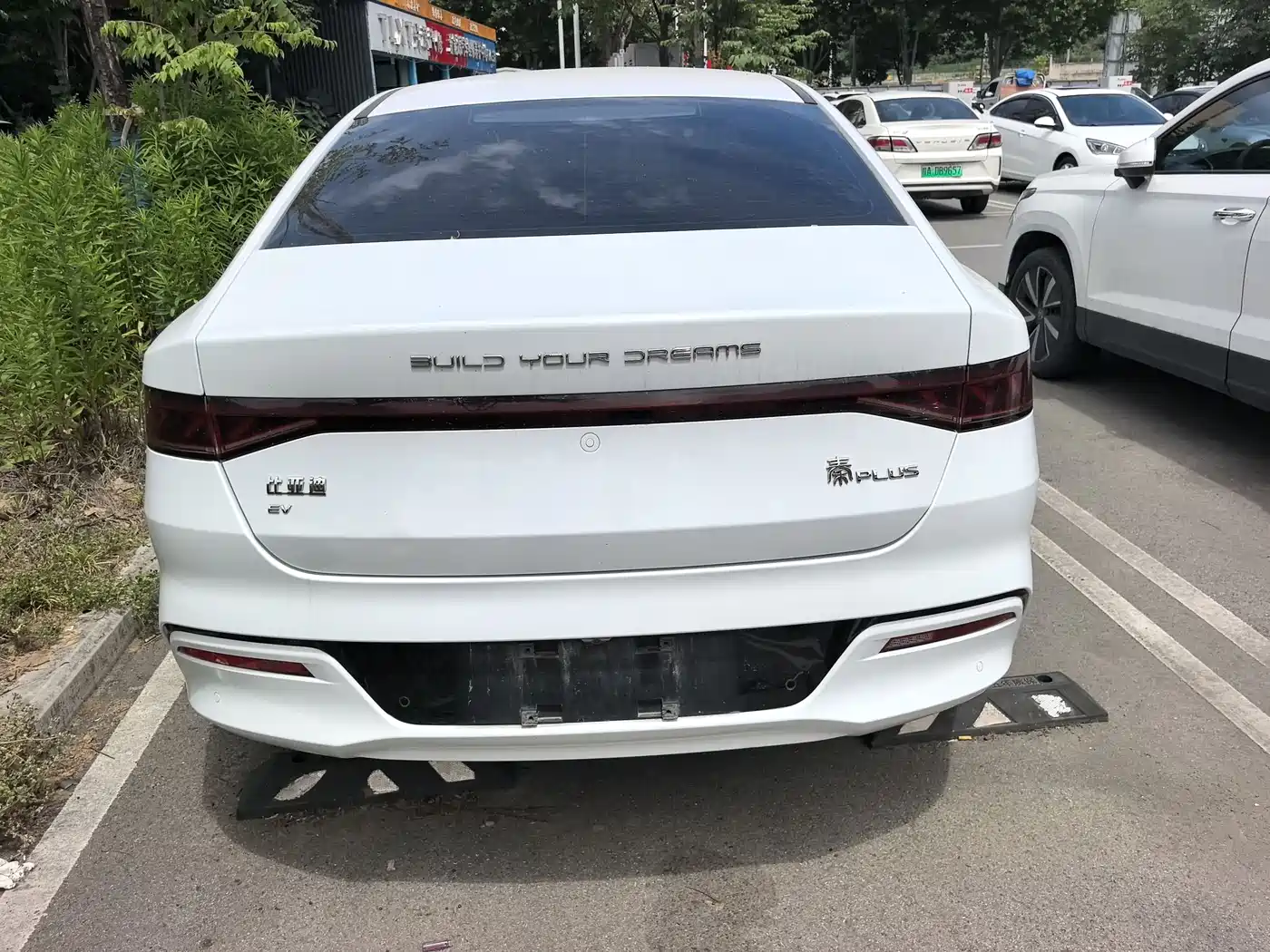 BYD Qin PLUS 2023 Champion Edition EV 510KM Leading Type фото 5