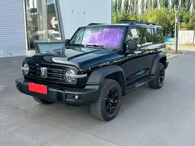 Tank 300