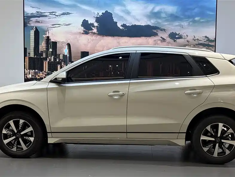 BYD E2