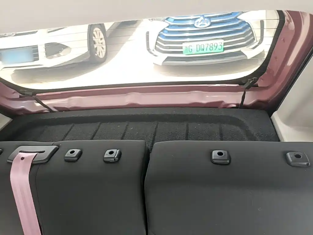 Sehol Flower Fairy 2023 2023 Anniversary Edition 301km Starlight 45kW