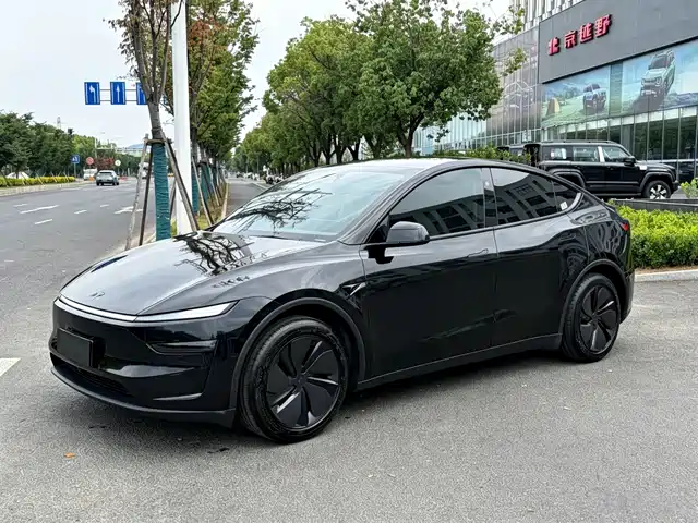  Tesla Model Y 2025 Rear-Wheel Drive