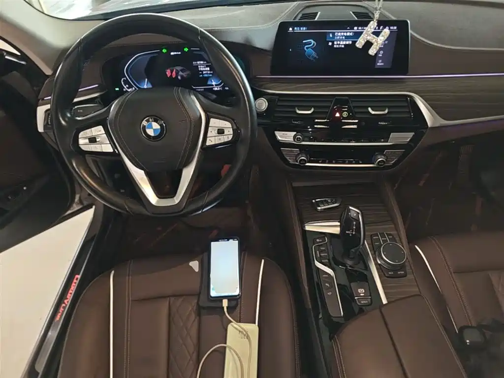 BMW 5 Series New Energy 2020 530Le Range Upgrade Pioneer Edition фото 10