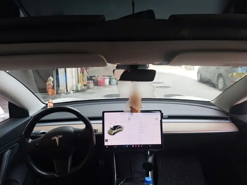 Tesla Model 3 (Import) 2019 2019 Long Range RWD Version