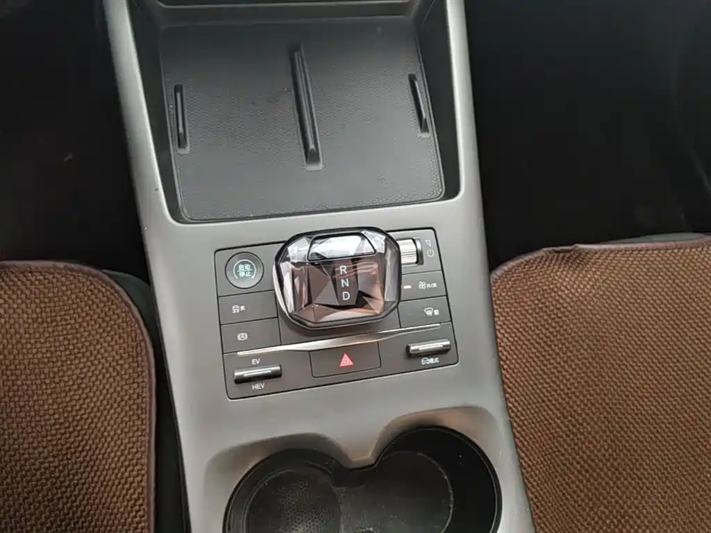 BYD Qin PLUS 2025 DM-i Smart Drive 55KM Leader фото 14