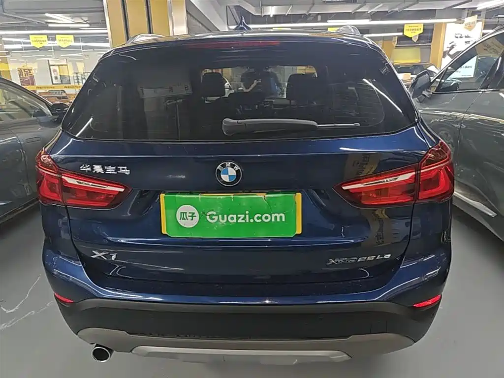 BMW X1 New Energy 2019 xDrive25Le Range Upgrade Edition фото 6