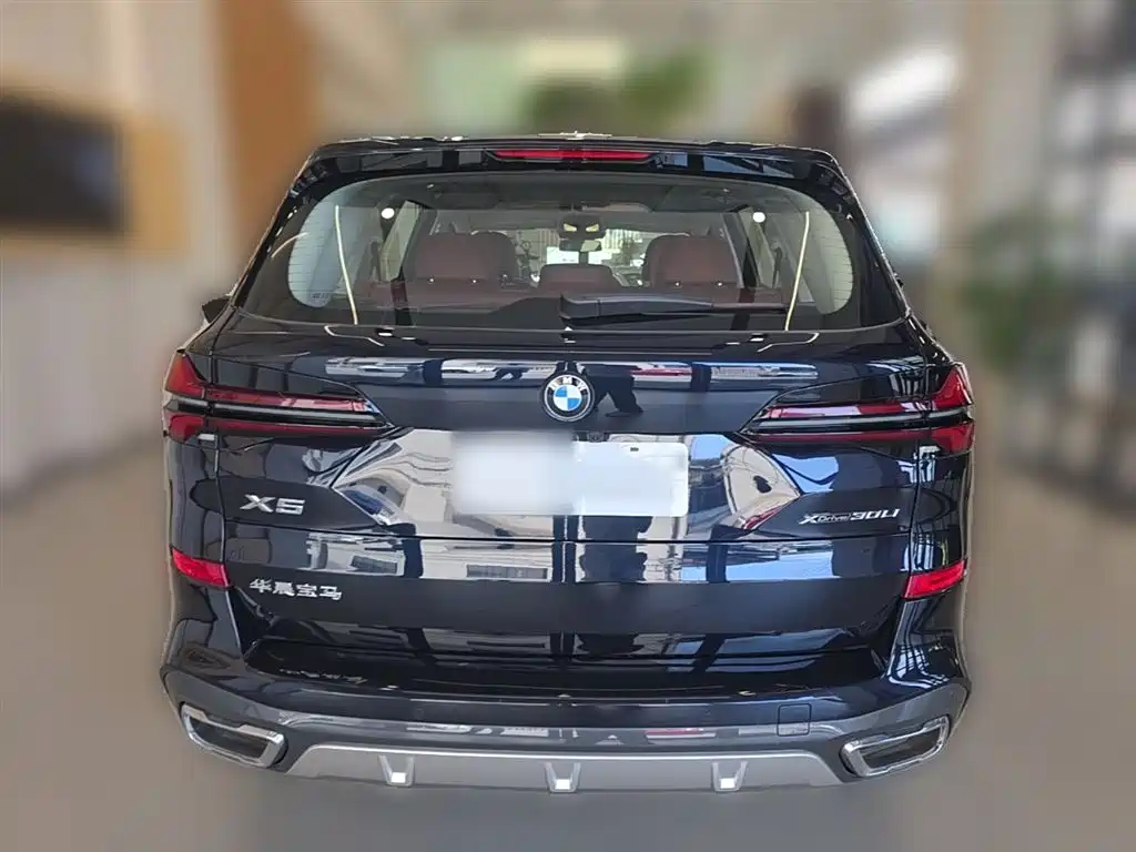 BMW X5 2023 xDrive 30Li Premium M Sport Package фото 10