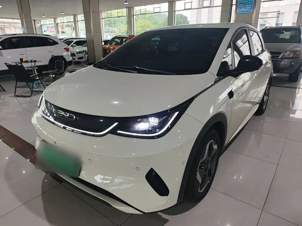 BYD Dolphin 2026 2025 Smart Drive Edition 420km Freedom Version