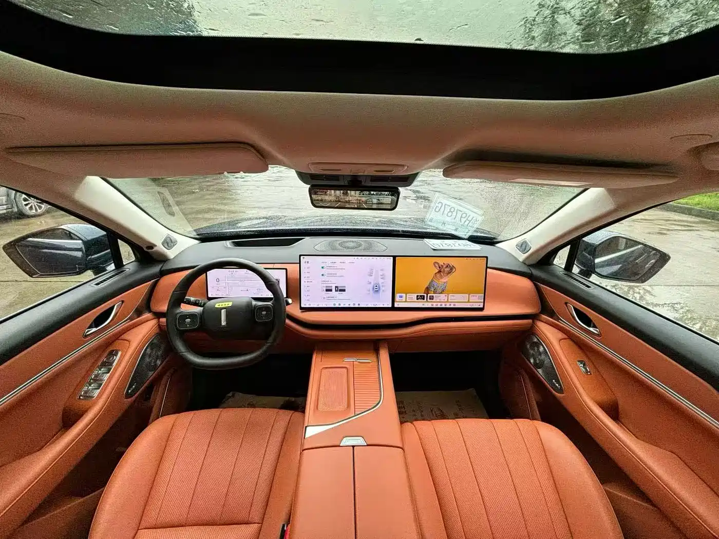 WEI PAI WEI BRAND BLUE MOUNTAIN