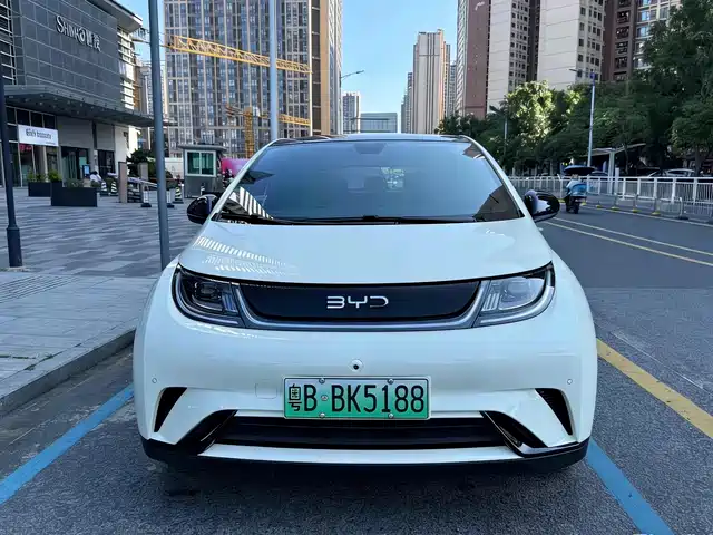 BYD DOLPHIN