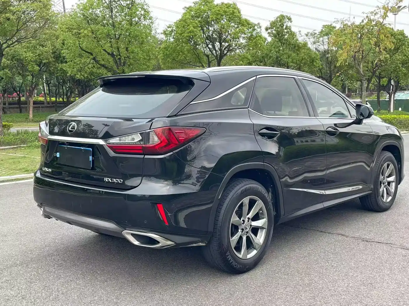 Lexus RX 2016 300 2WD Comfort Edition China V фото 9