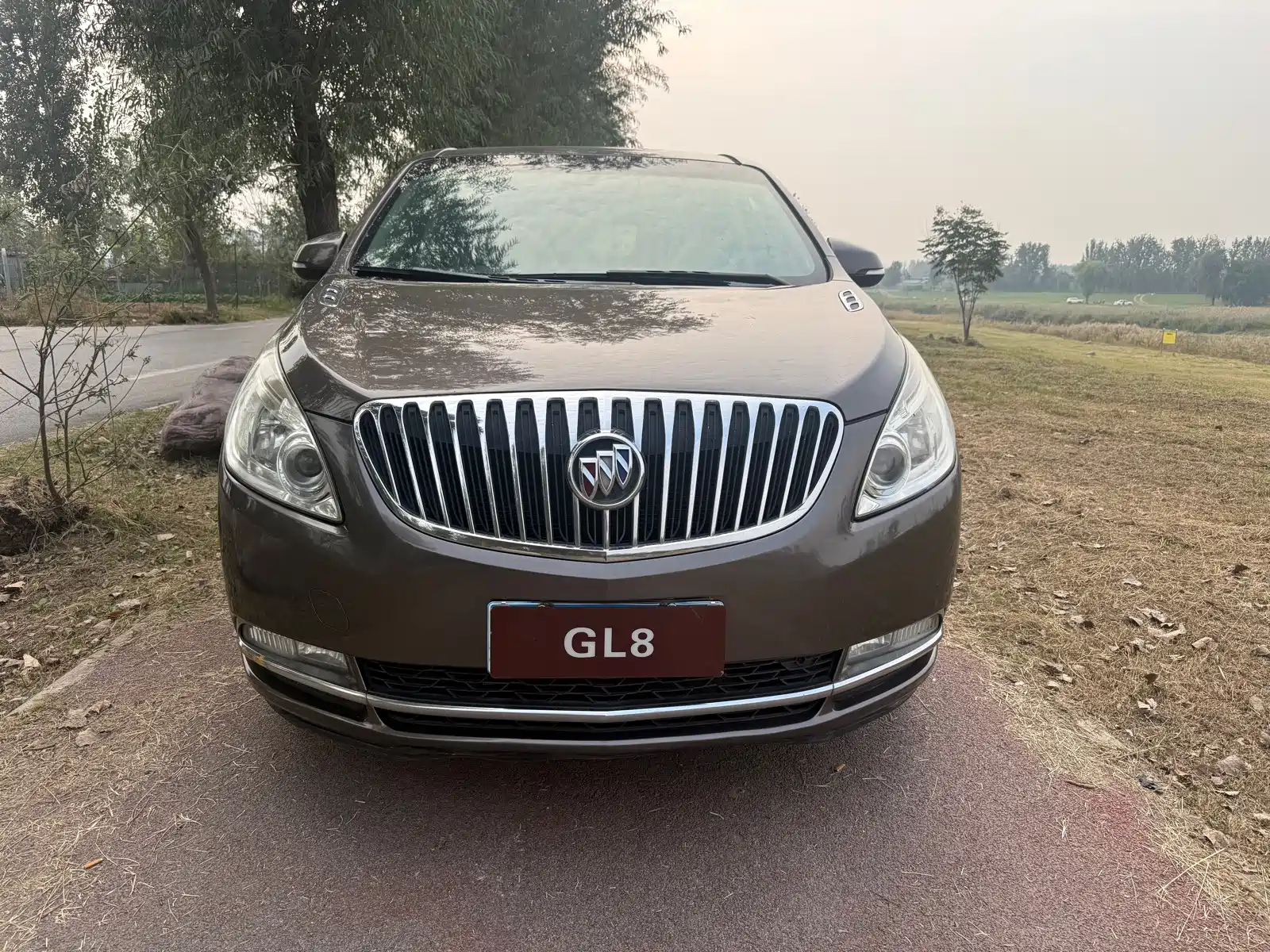 Фото 2 - Buick GL8