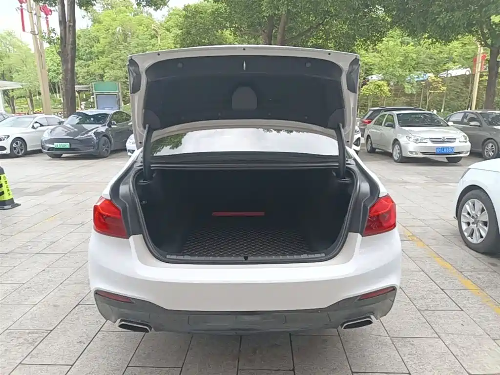 BMW 5 Series 2018 525Li M Sport Package фото 19