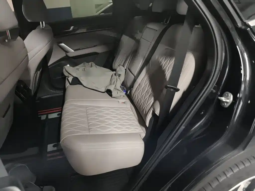 BYD Tang New Energy 2025 2025 Smart Driving Edition DM-i 115KM Premium
