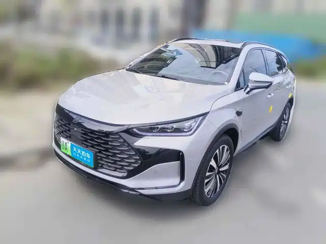BYD Tang New Energy 2025 Smart Driving Edition DM-i 115KM Honor — фото 1