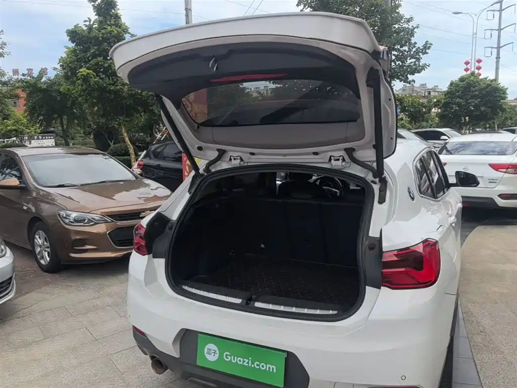 BMW X2 (Import) 2019 sDrive20i M Off-Road Package China VI фото 19