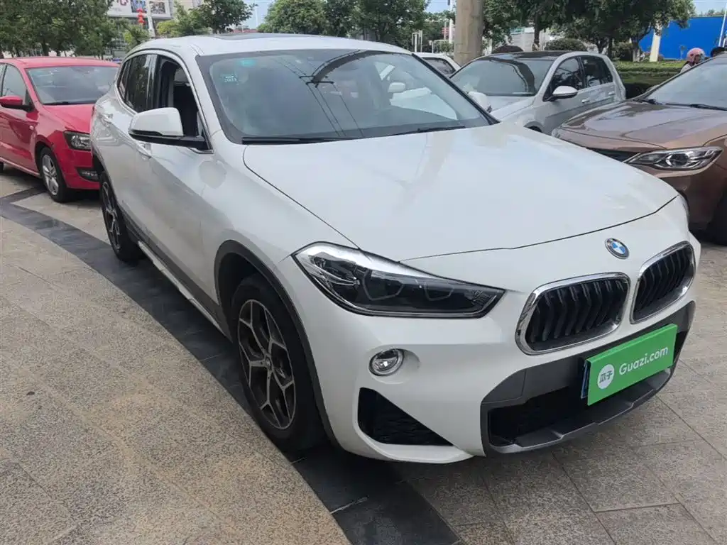 BMW X2 (Import) 2019 sDrive20i M Off-Road Package China VI фото 4