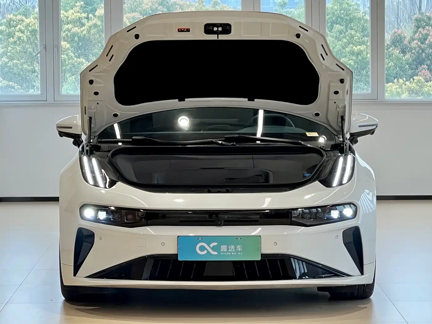 ZEEKR EXTREME KRYPTON 001