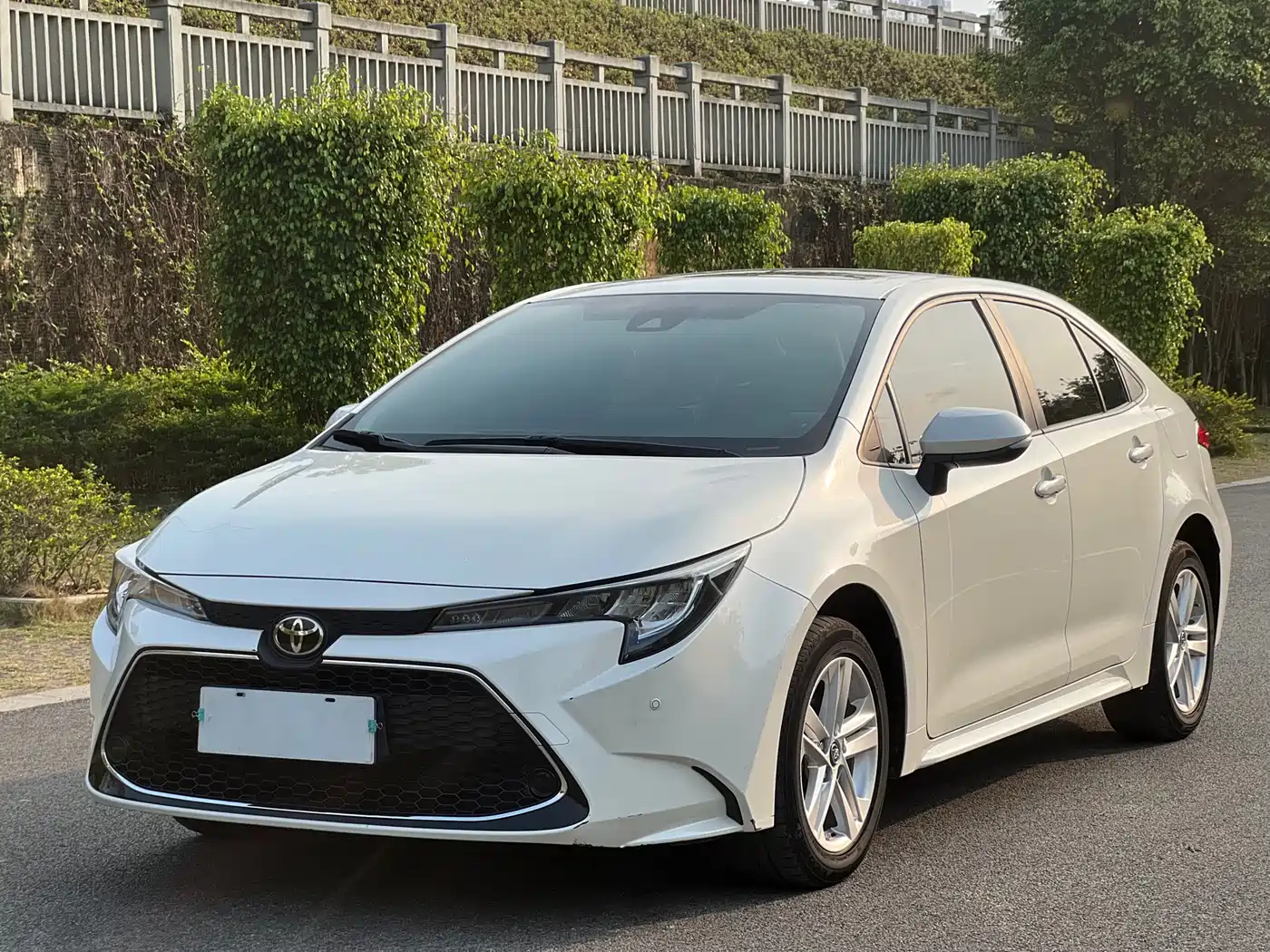 Toyota Levin 2019 185T CVT Luxury Edition China V