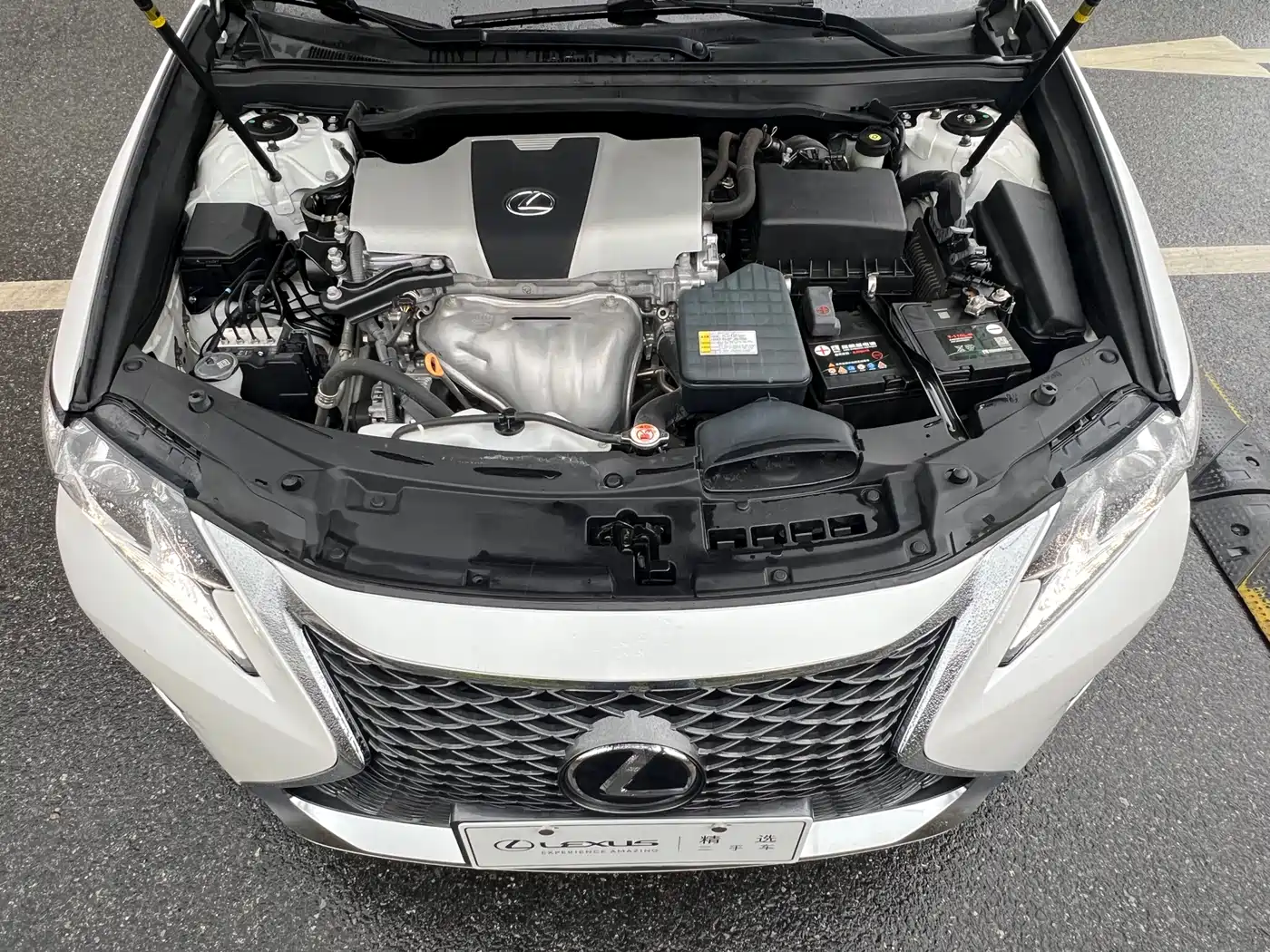 Lexus ES 2015 200 Elite Edition фото 5