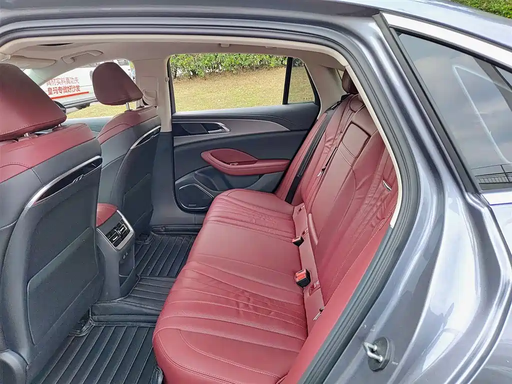 Hongqi H5 2023 2.0T Auto Smart Connect Flag Comfort фото 8