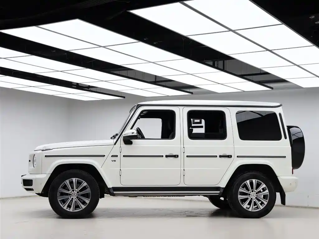 Mercedes-Benz G-Class 2020 G 500 фото 34