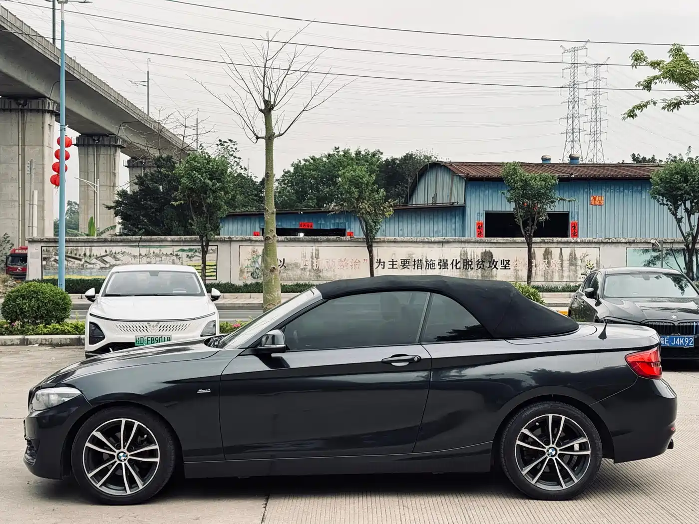 BMW 2 Series (Import) 2018 220i Convertible Coupe Sport Design Package фото 8